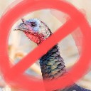 User avatar image