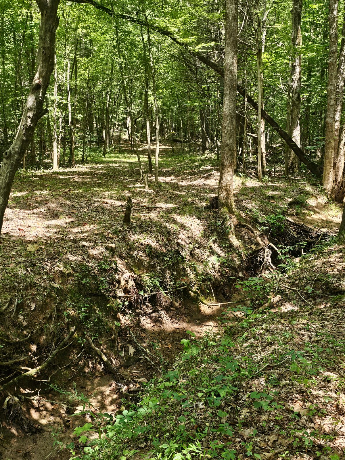 Hole 8's fairway