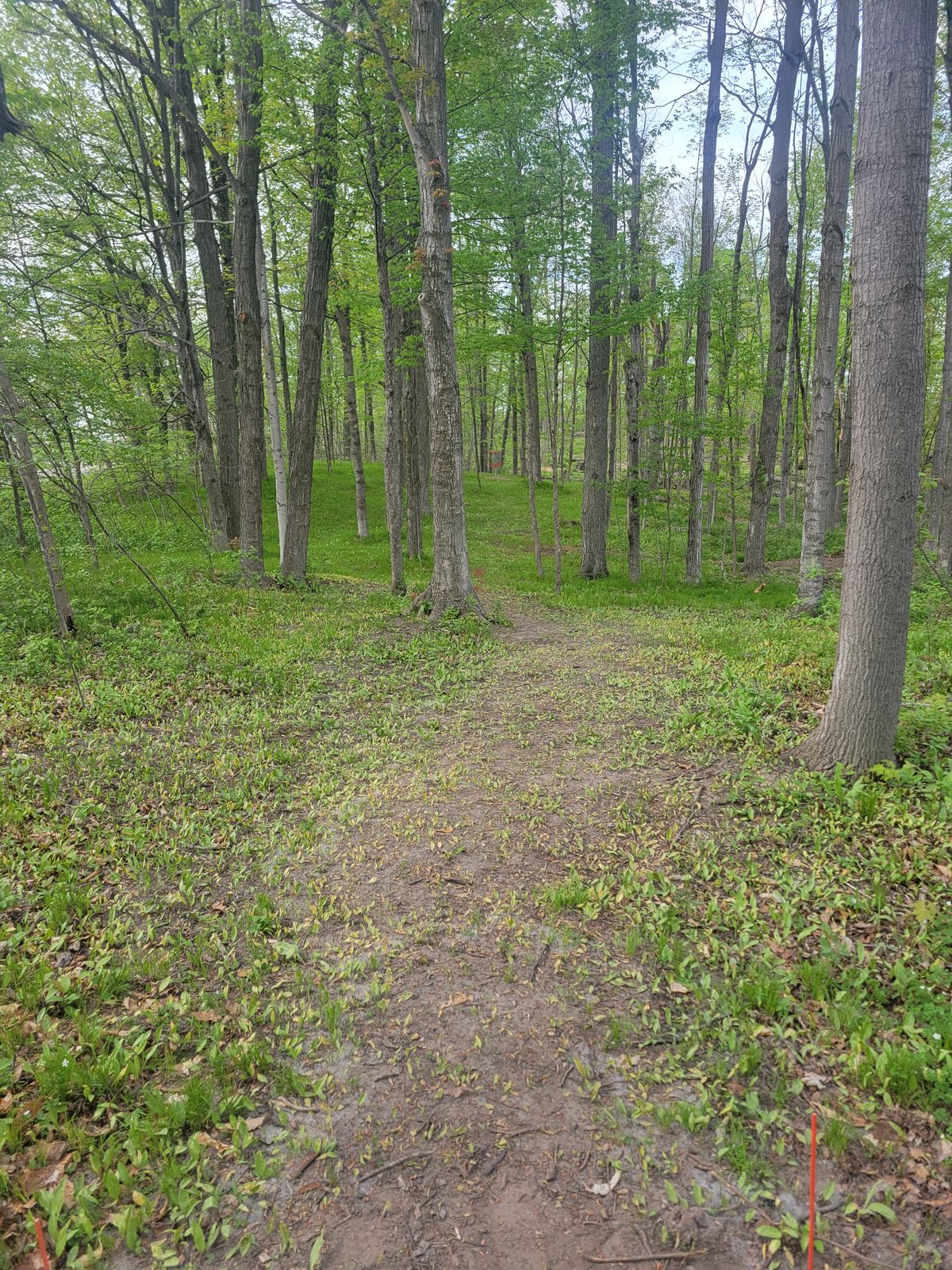 Hole 8