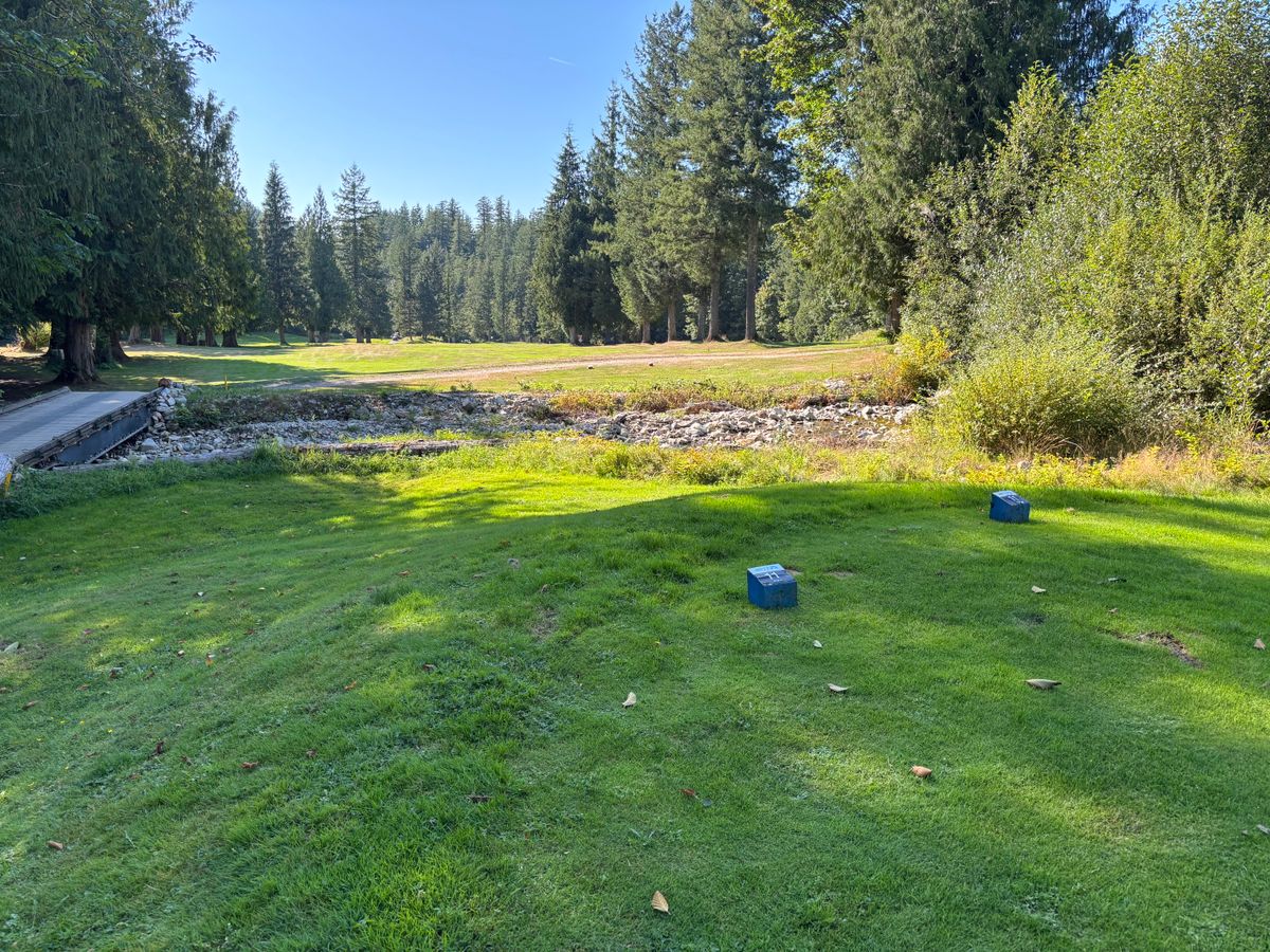 Hole 11 blue tee pad. Basket is in tree line on the right.