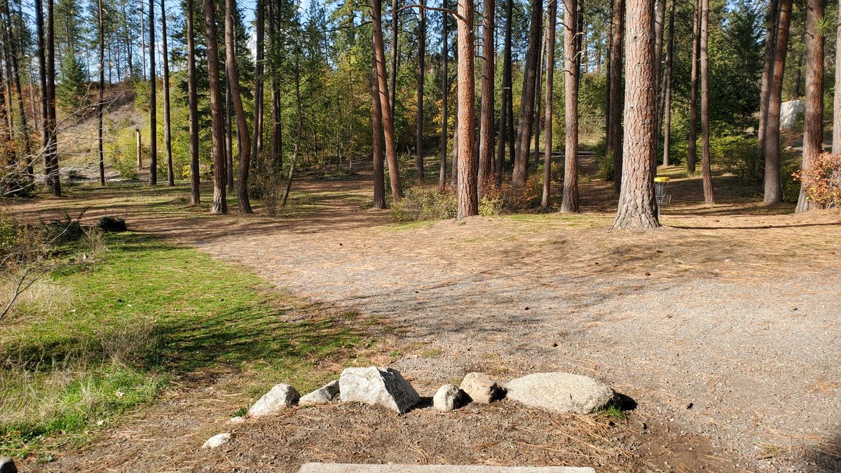 Tee pad hole 12