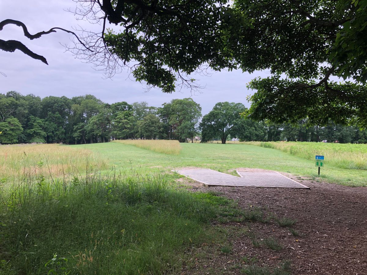 Tee box on 5