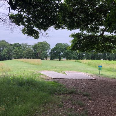 Tee box on 5