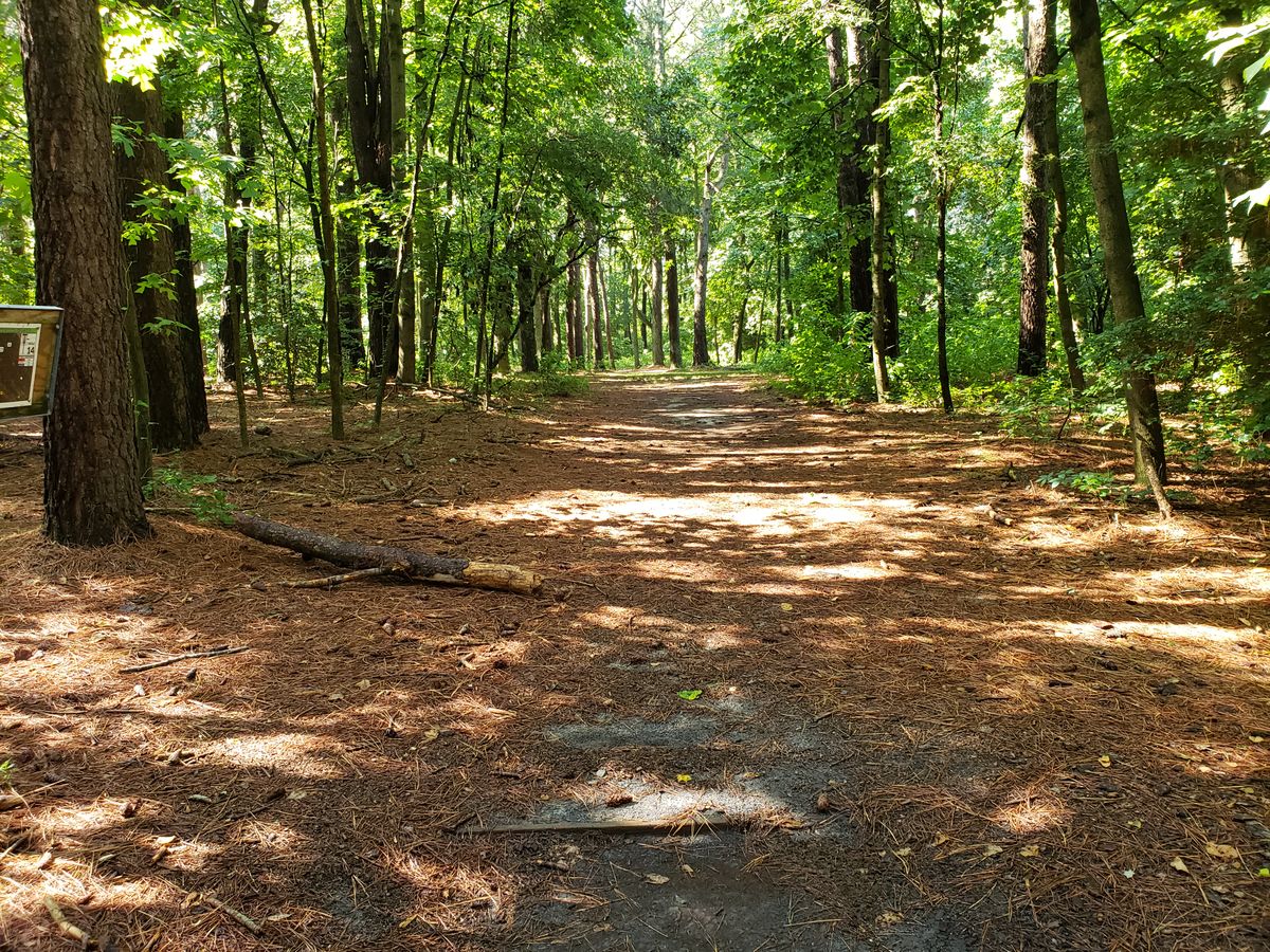 Hole 14 White Tee