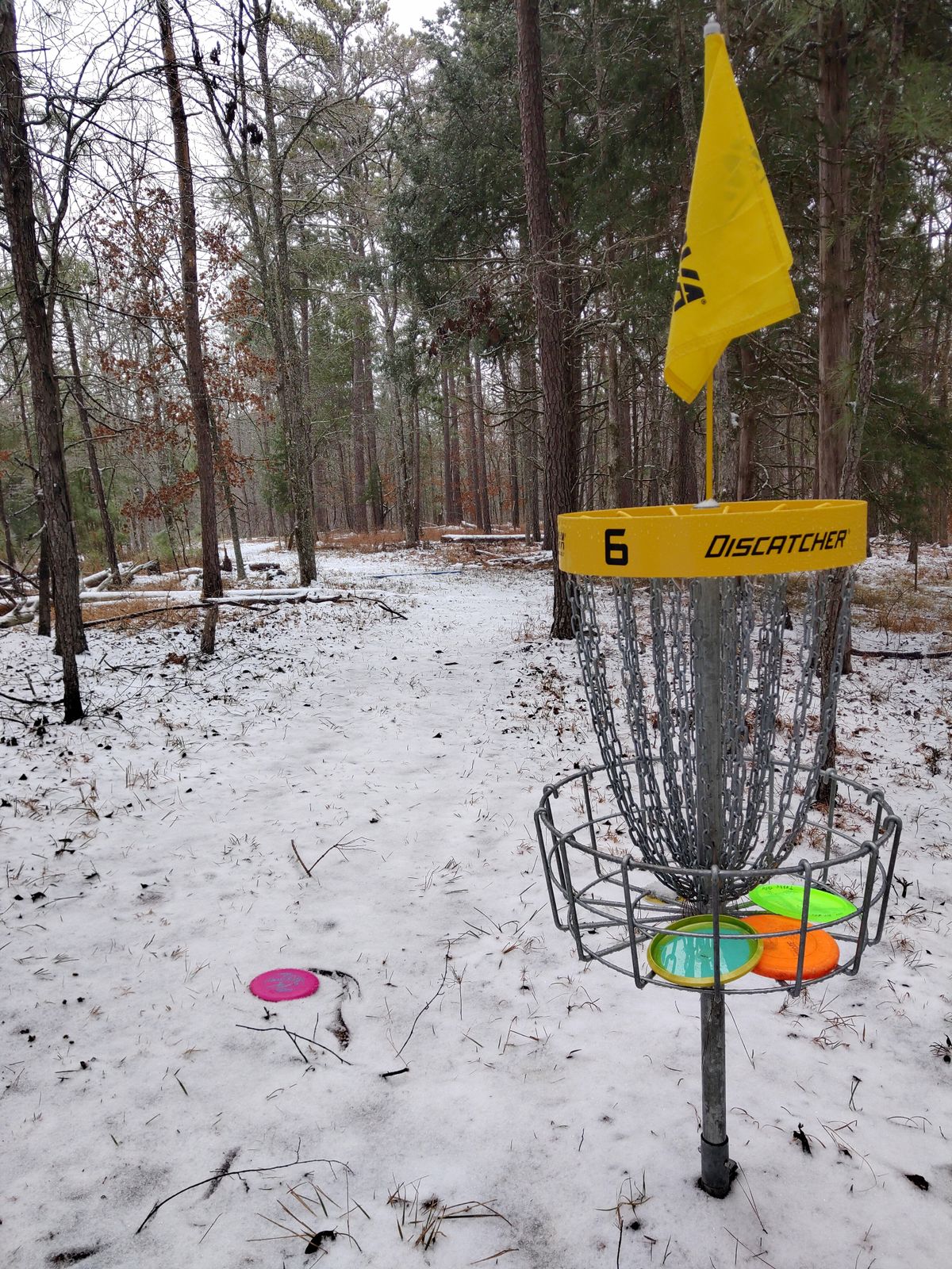 Basket 6 Snow day