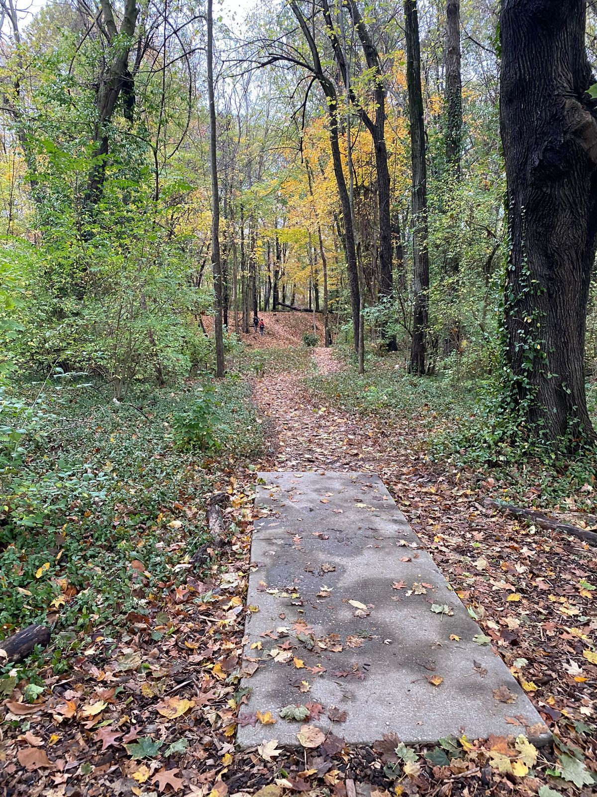 Hole 15