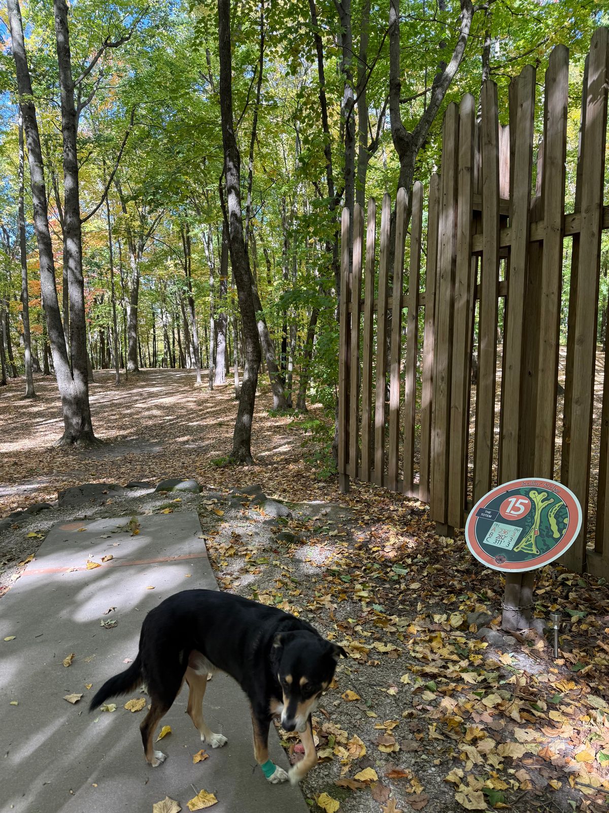 Hole 15