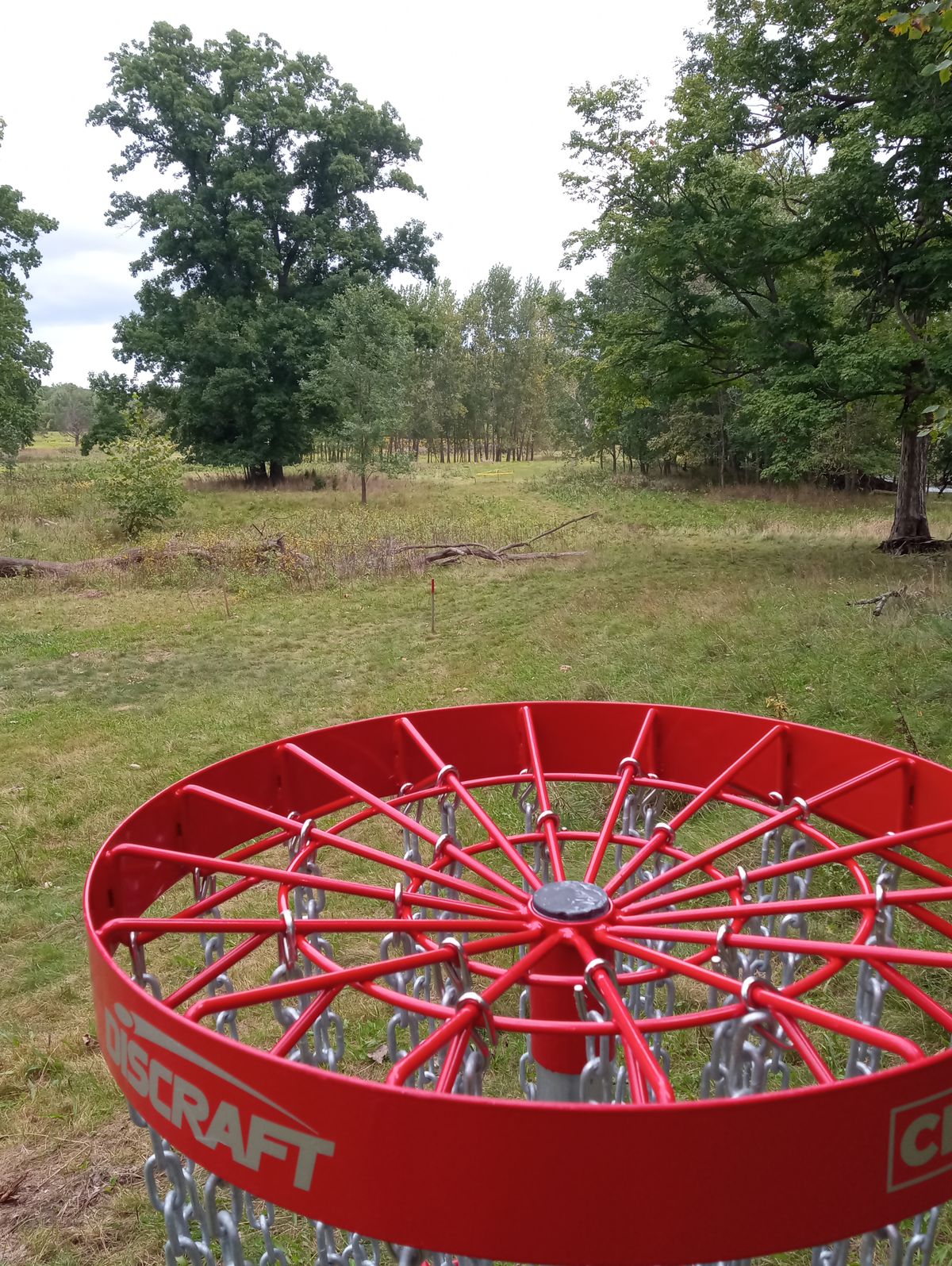 Hole 10 back to tee
