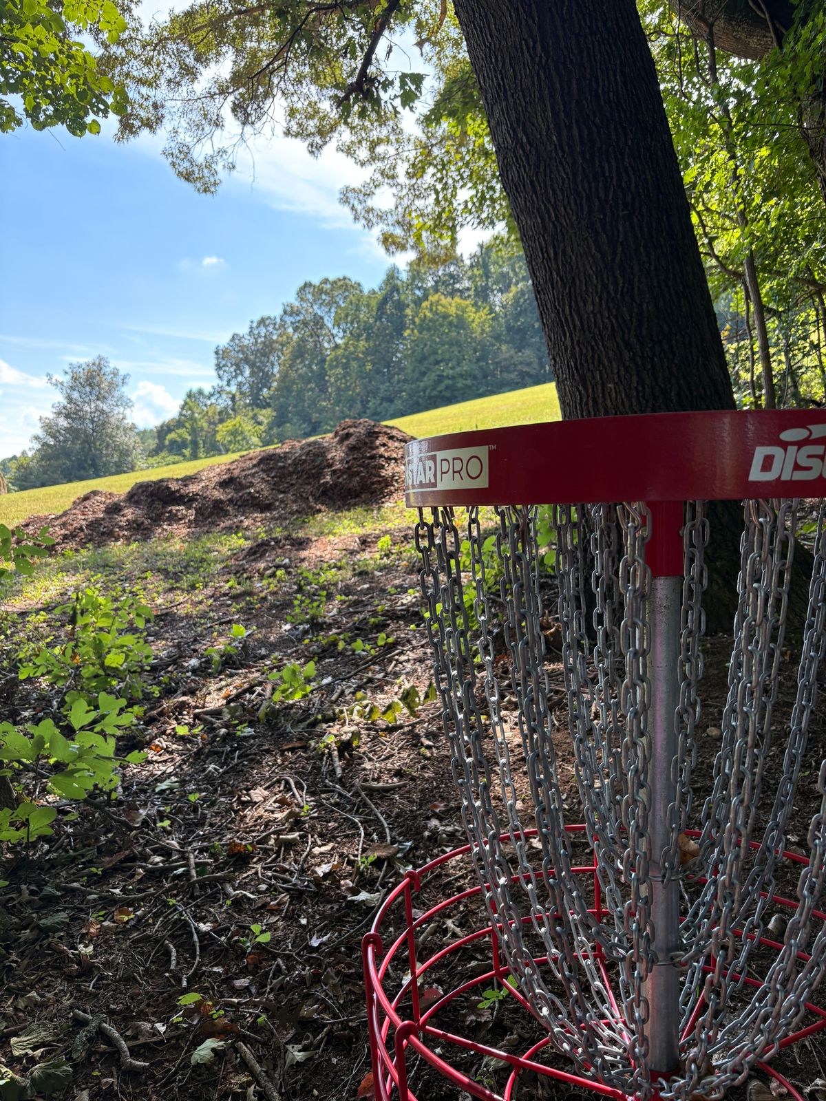 Hole 7 looking back