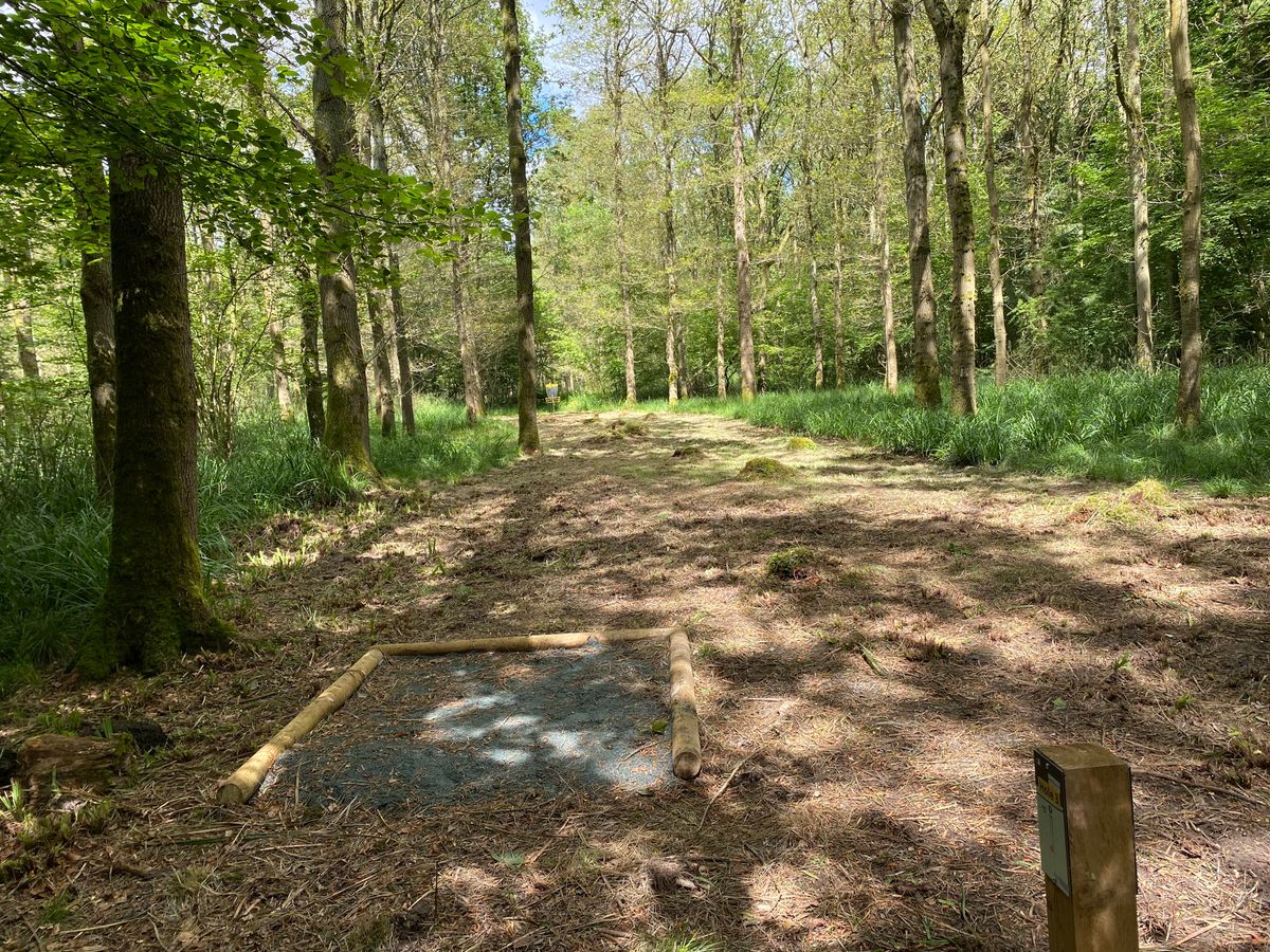 Hole 3 - Short