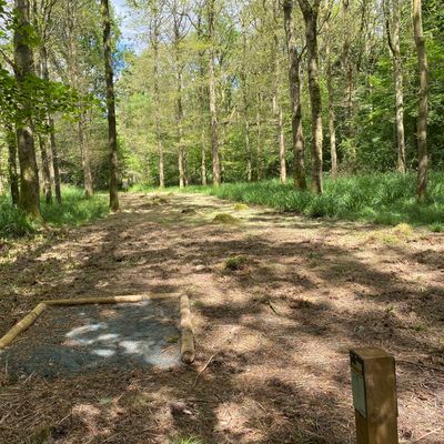 Hole 3 - Short