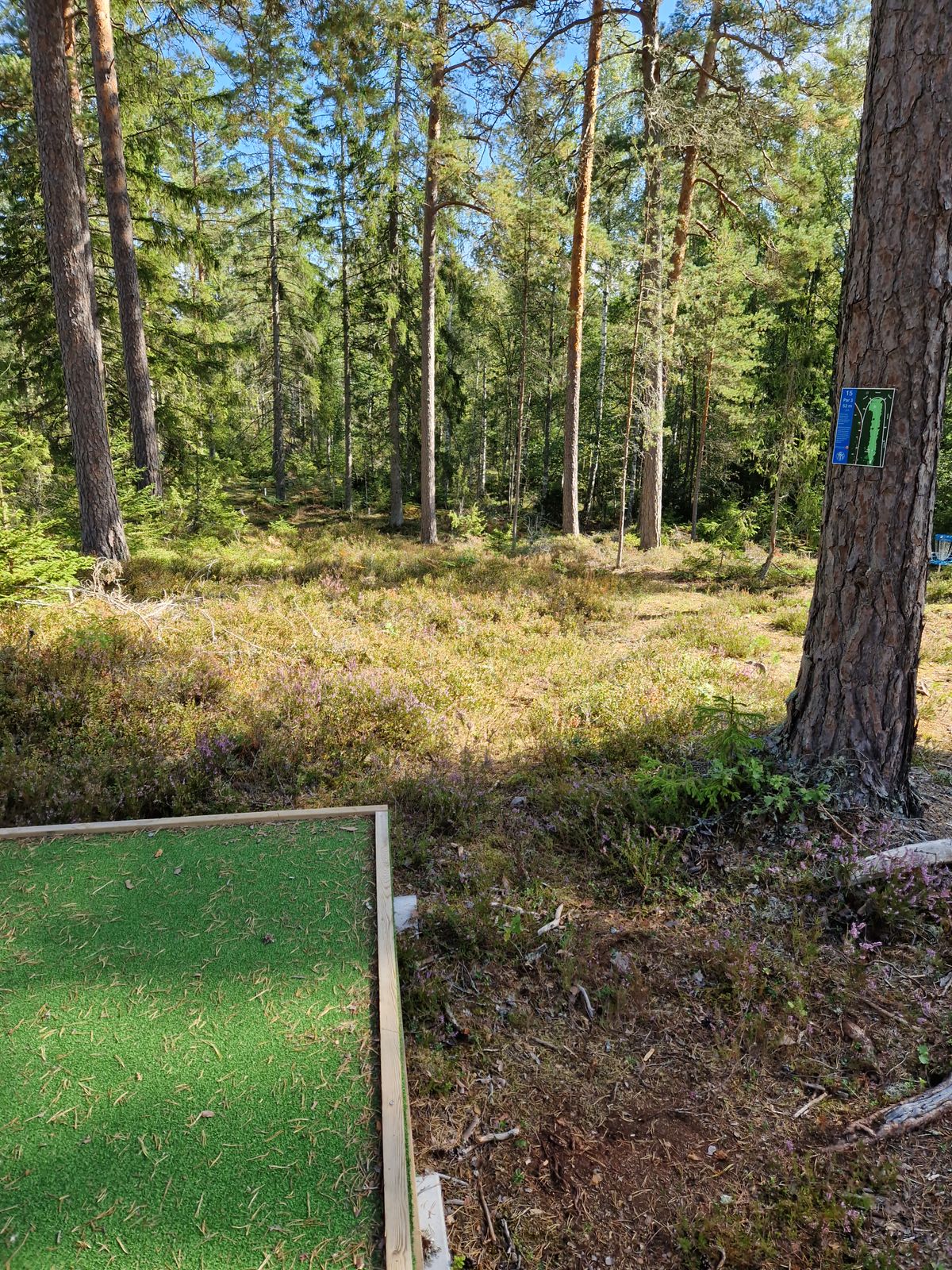Hål 15
