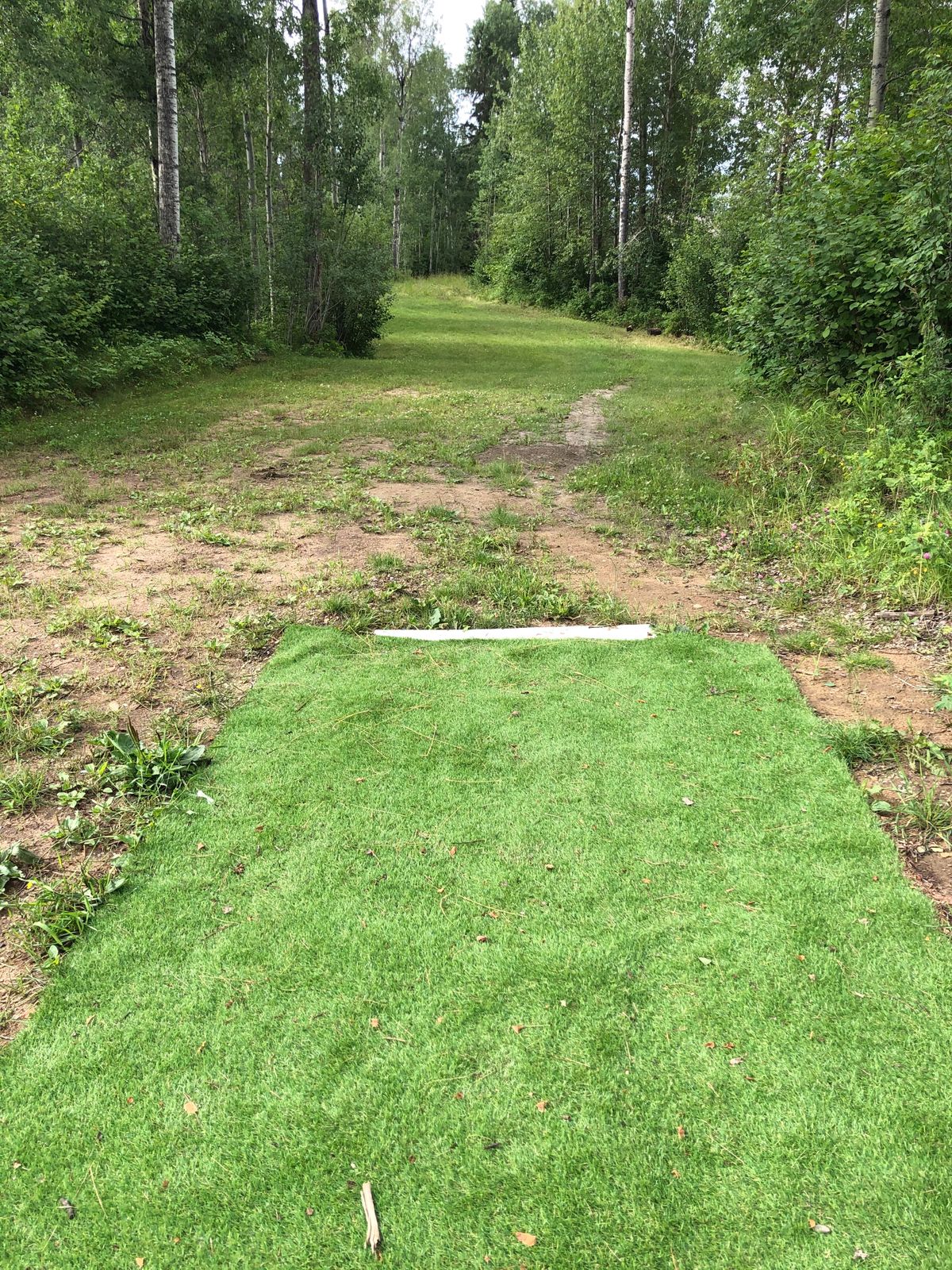 #1 tee on Action