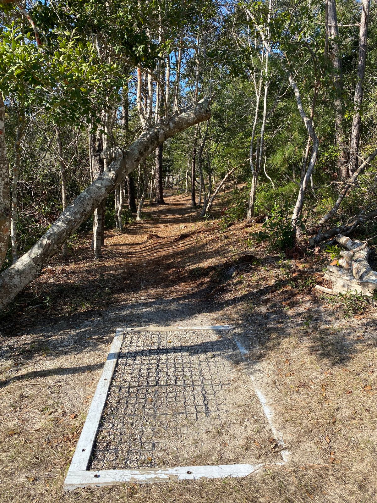 hole 2
