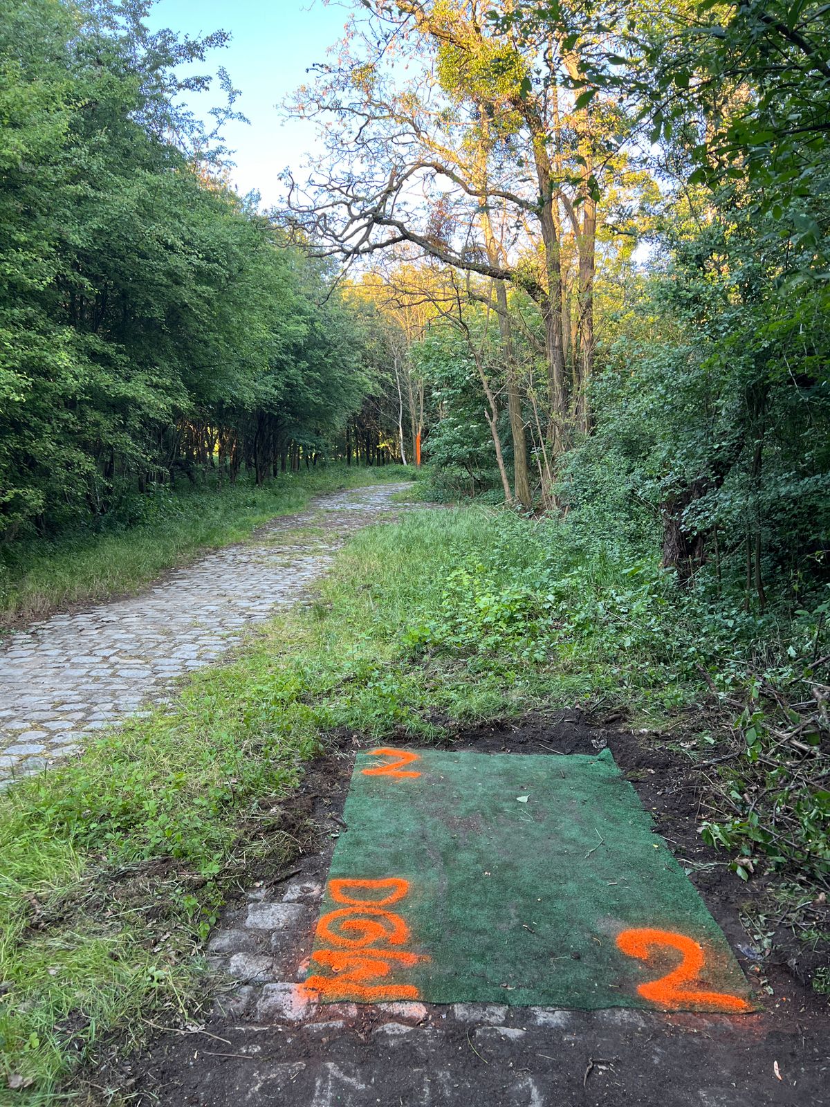 Hole 2. Orange tree is mando, you need to pass it from the left.