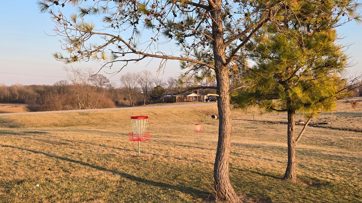 Hole 7 basket