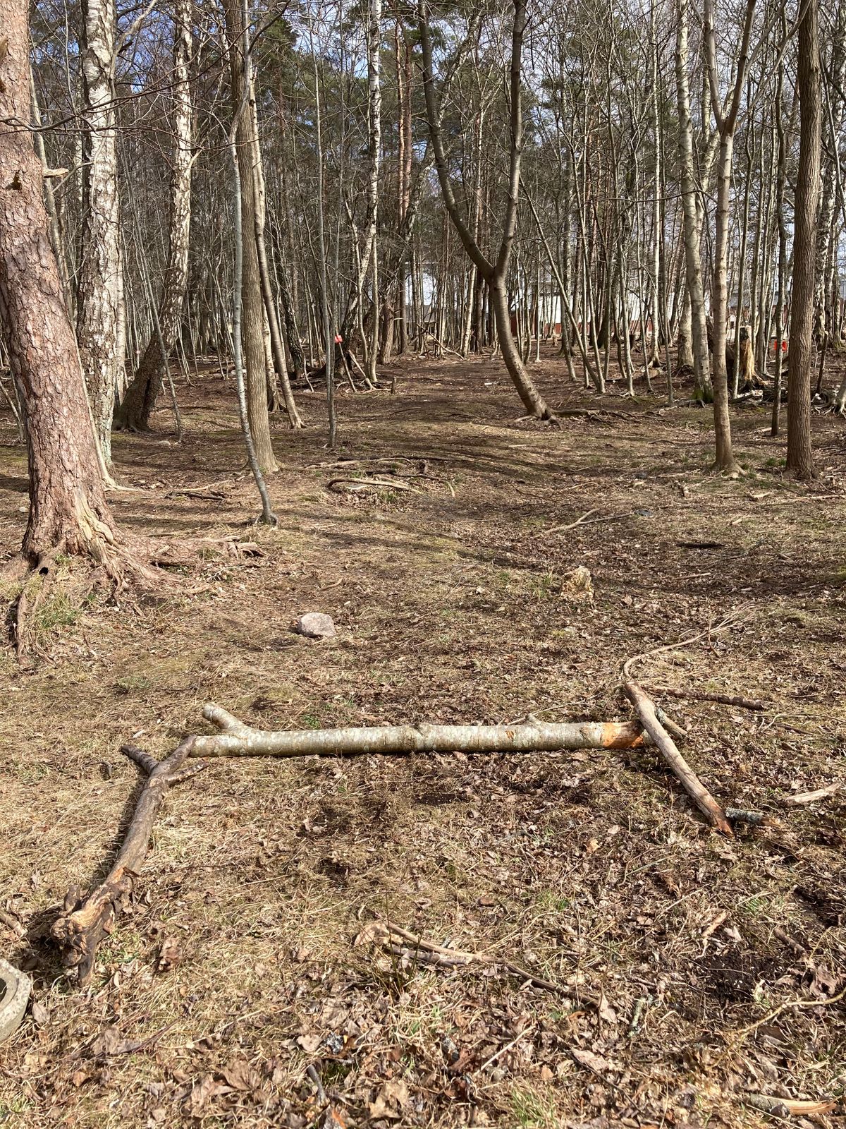 Tee 4 snett höger bakom trädet