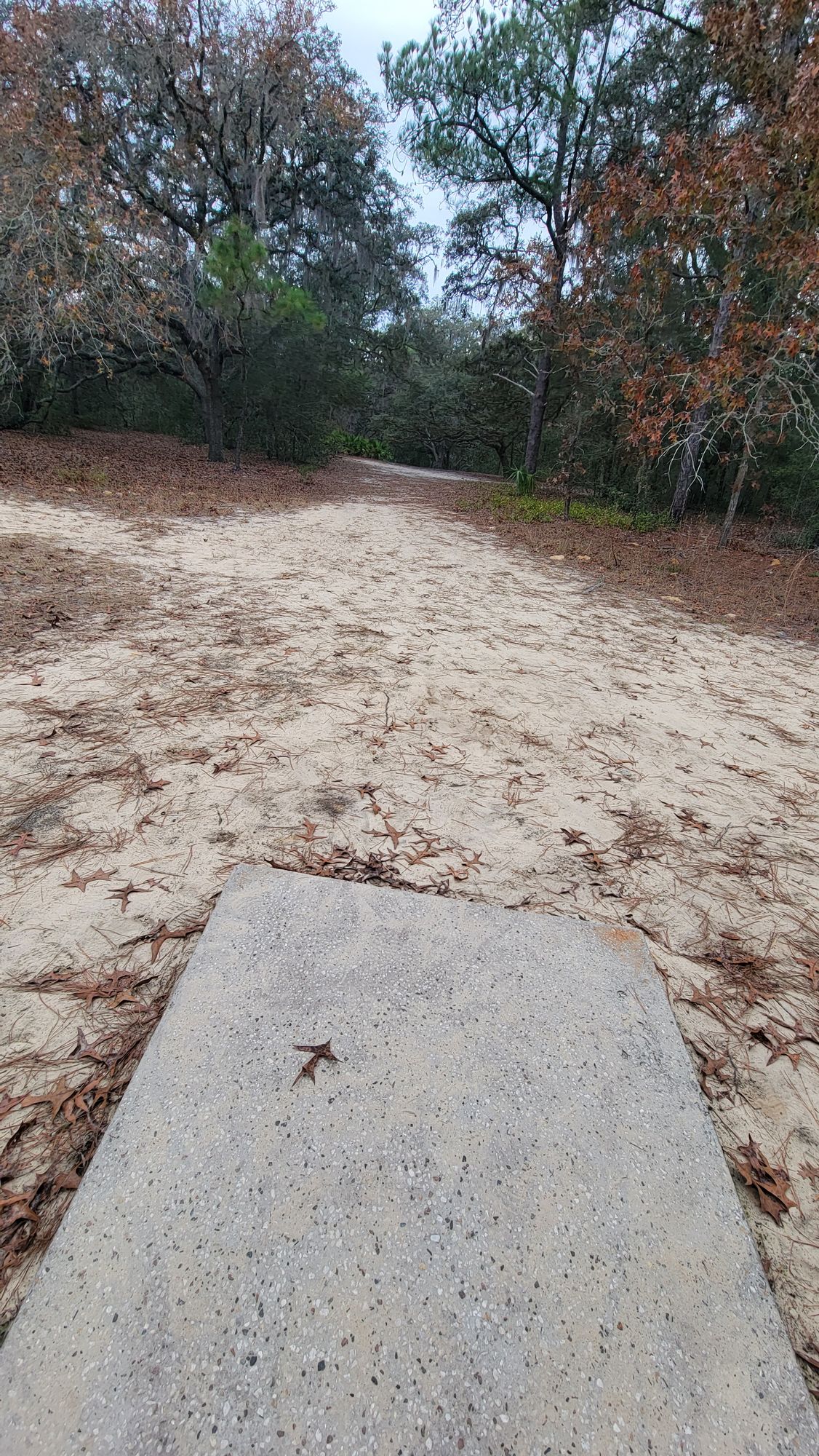 #11 Tee (only pad)