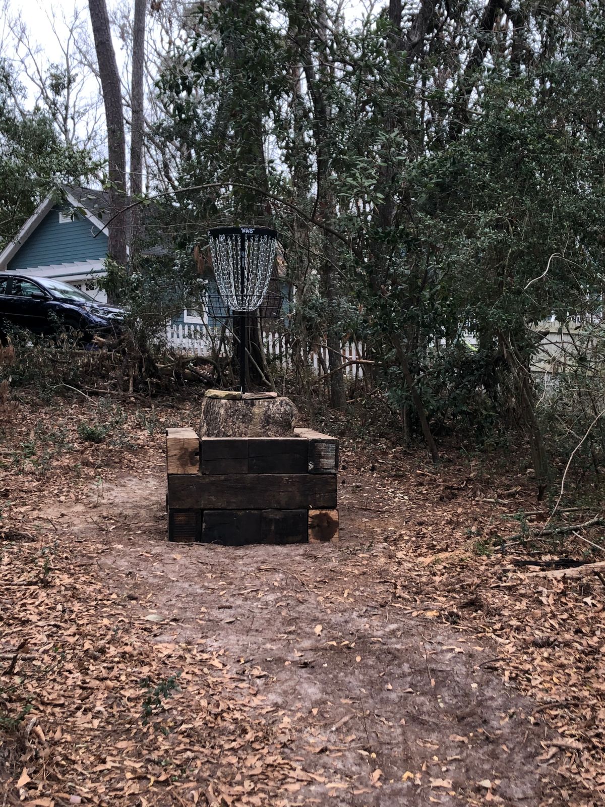 Hole 10, Elevated Basket