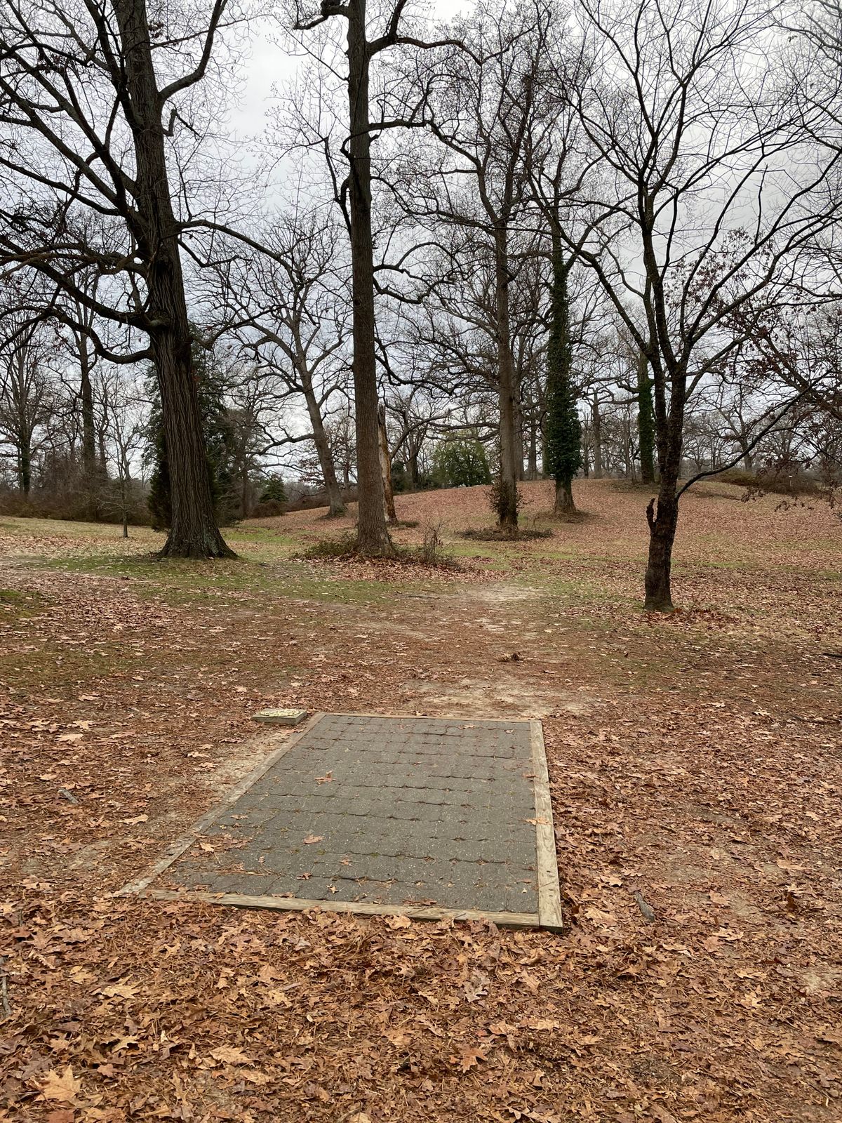 Fairway 5
January 1, 2024