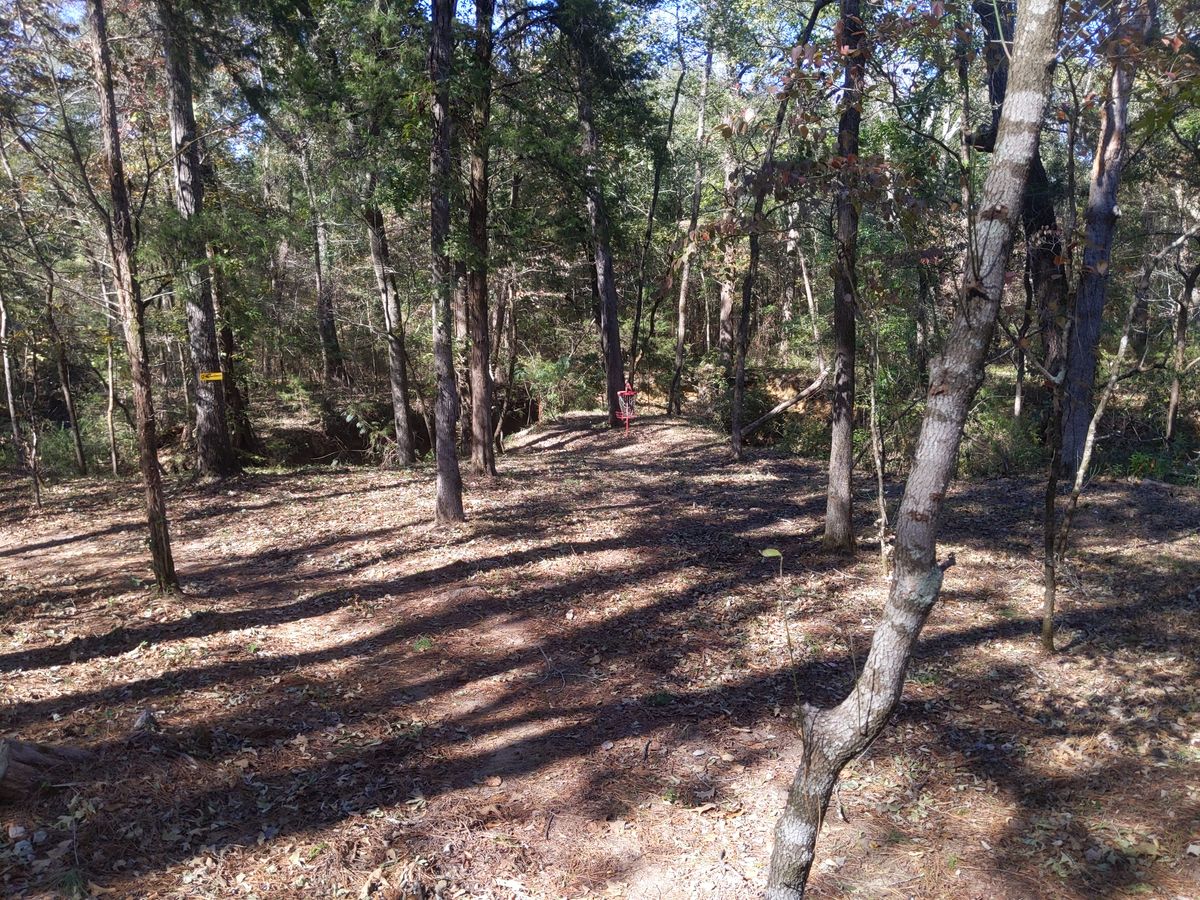 Juniper Hills