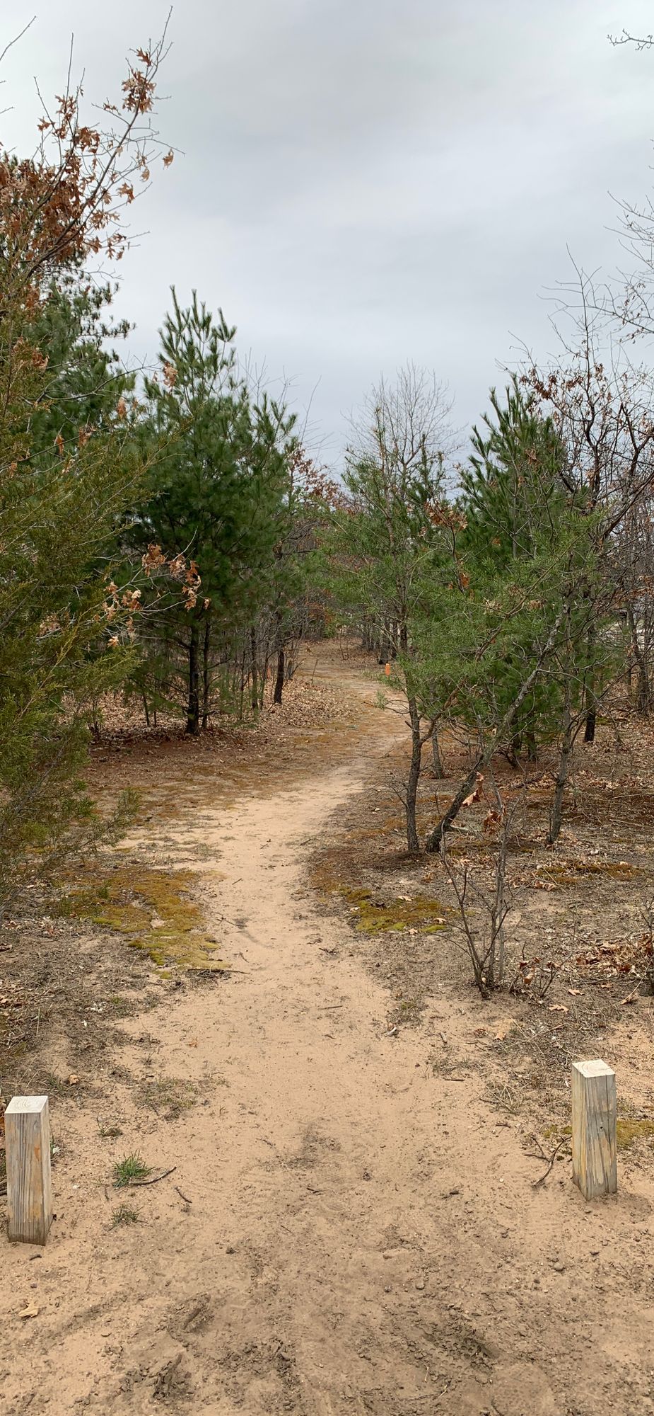 Hole 2 tee