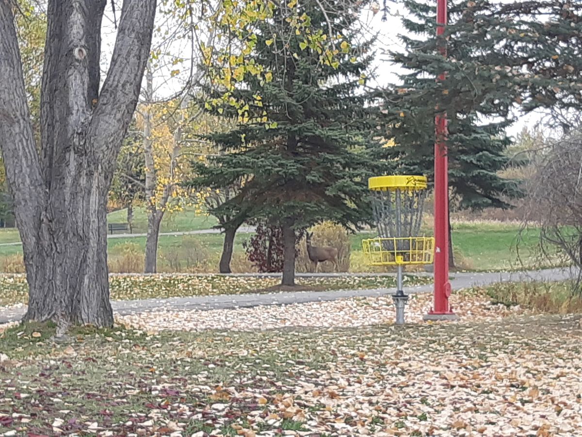 Special spectator for hole 5