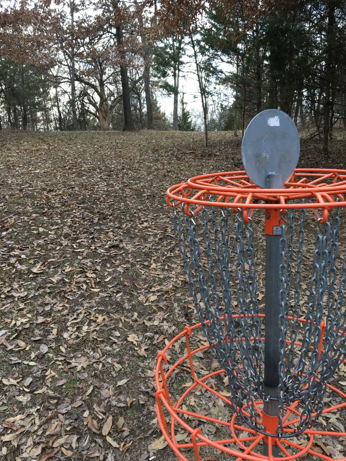 Hole 13 Basket to Tee