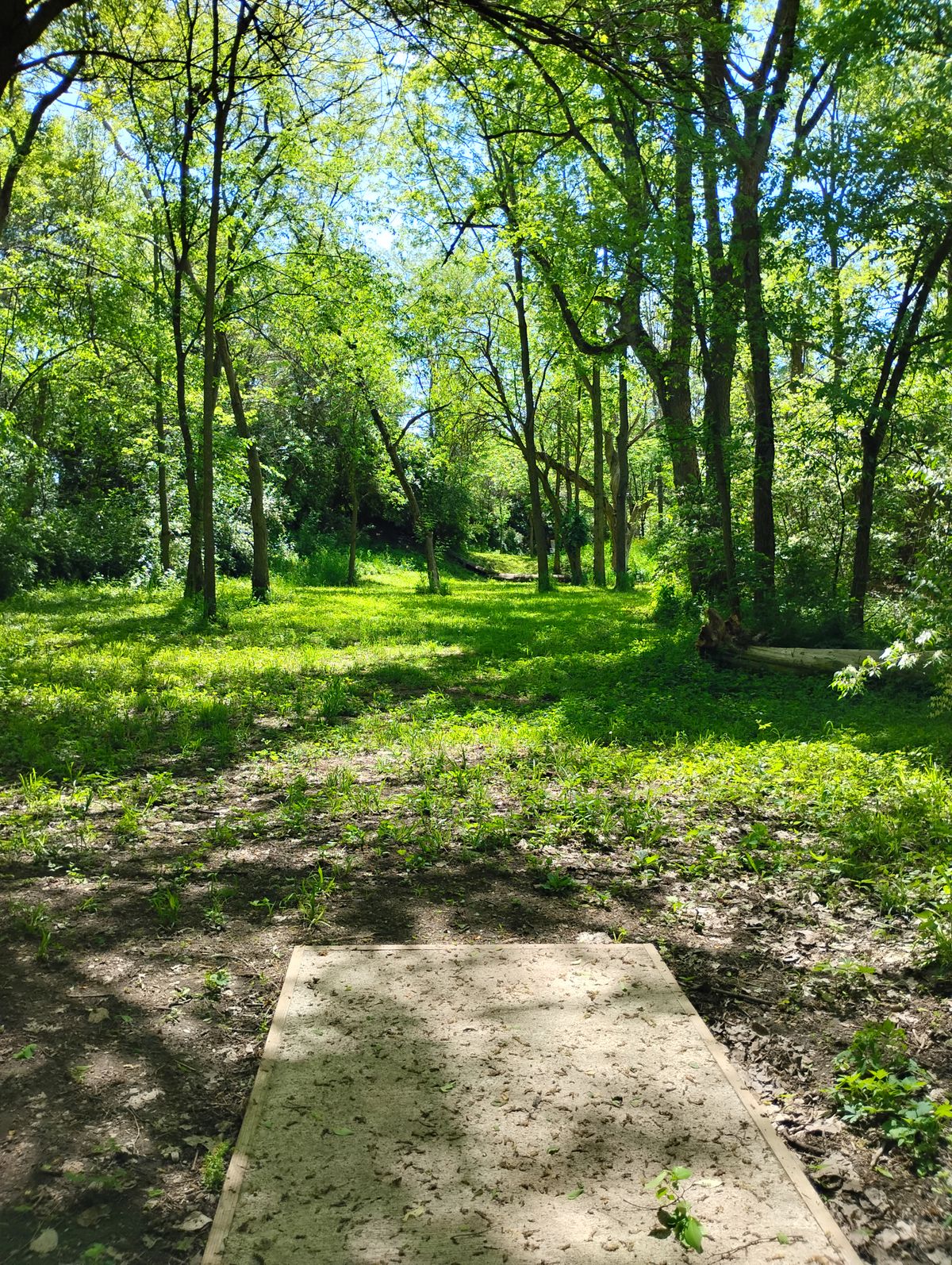 Hole 3