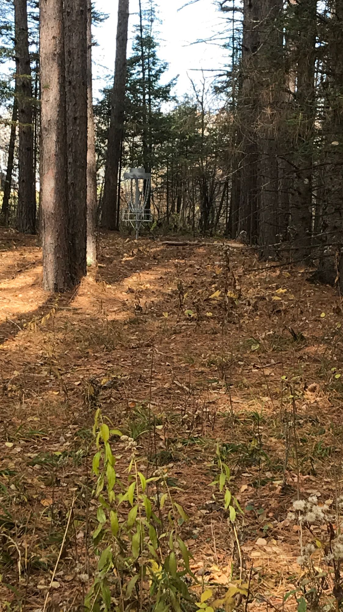 “Threading the needle” hole 4