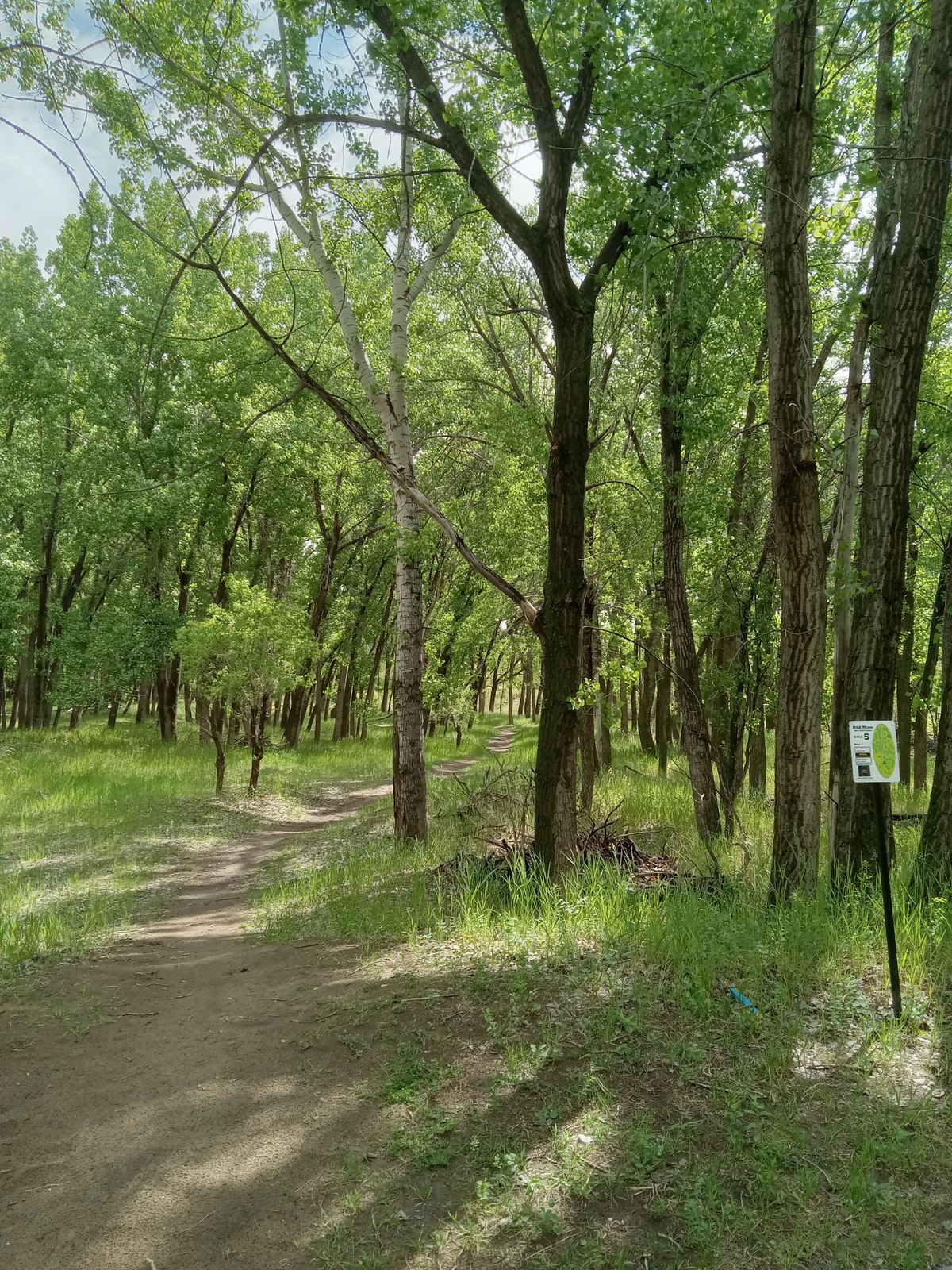 Hole 5