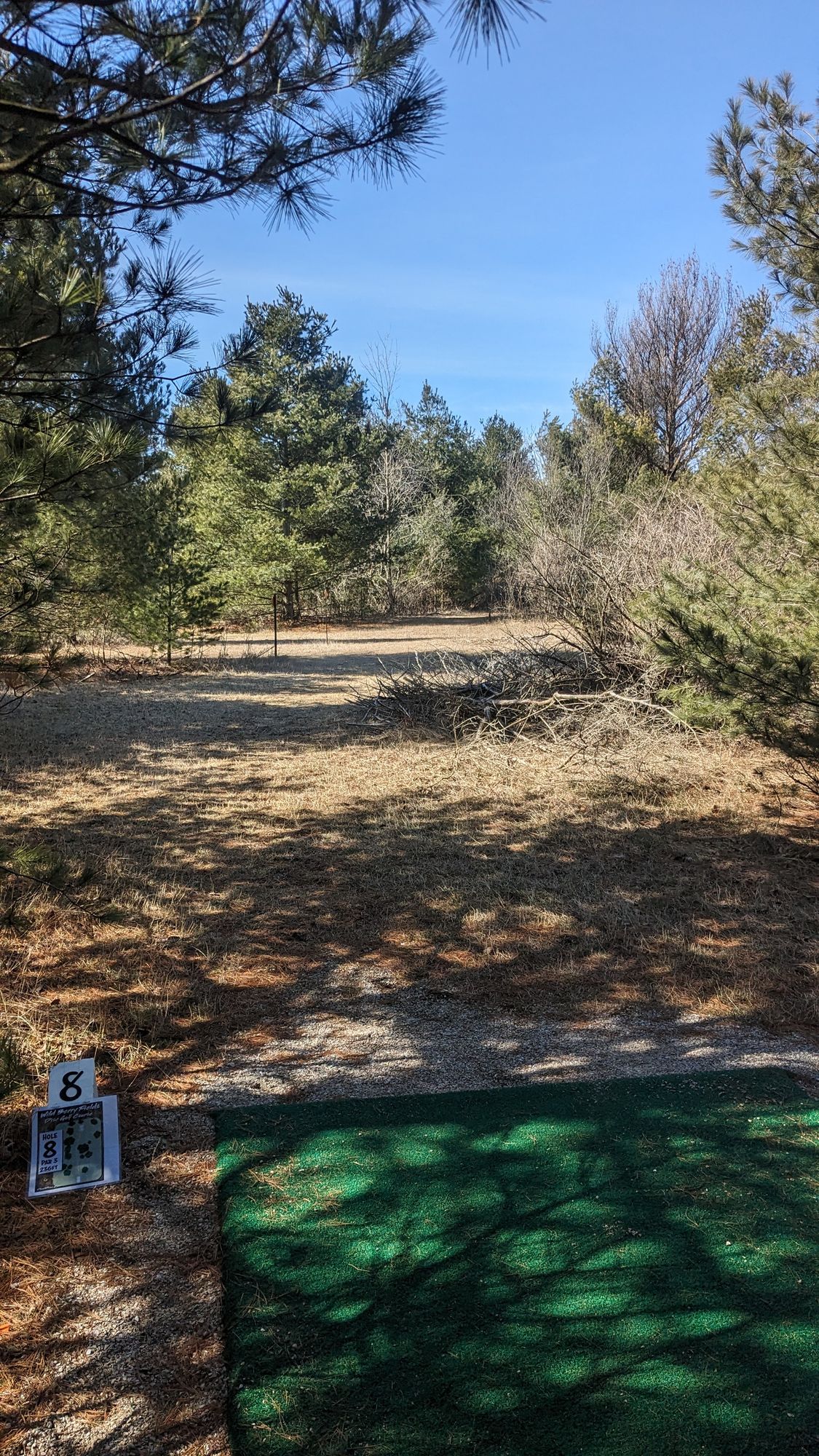Hole 8-tight gap to reach basket to the right
