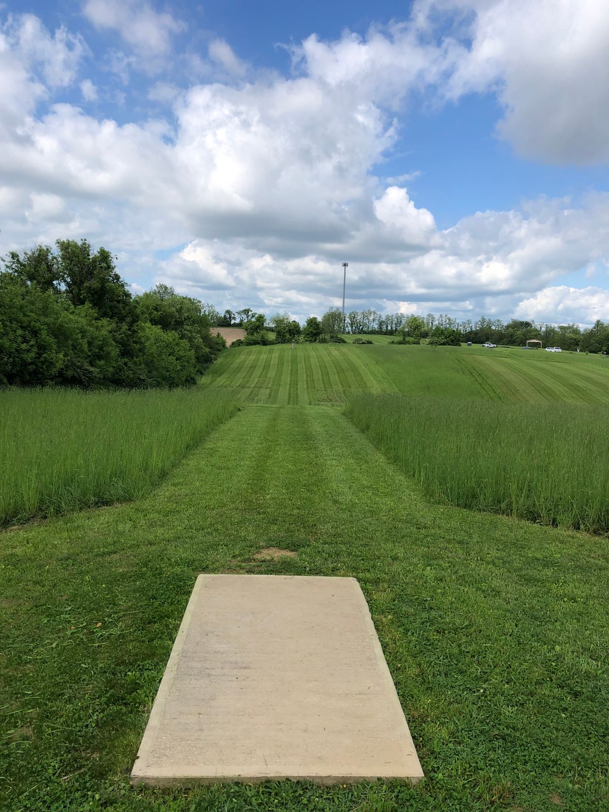 Hole 8 tee