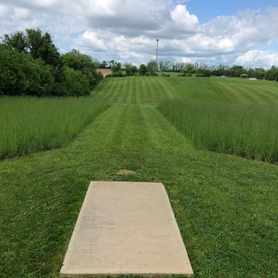 Hole 8 tee