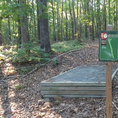 Hole #6. Par 3 - 270 Feet. Guardian trees make this hole interesting. Be prepared for a long hike to hole number seven.