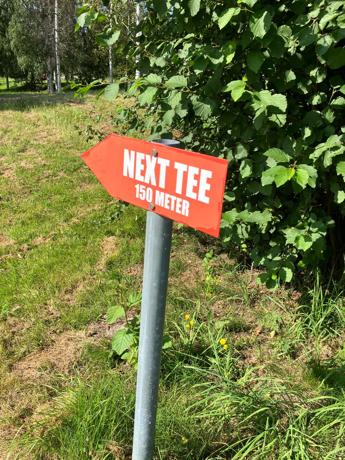 Hål 9, Nästa hål 150 meter. Man går bredvid parkeringen.