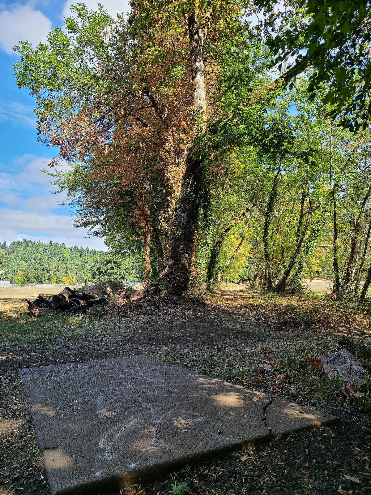 Hole 4 Teepad