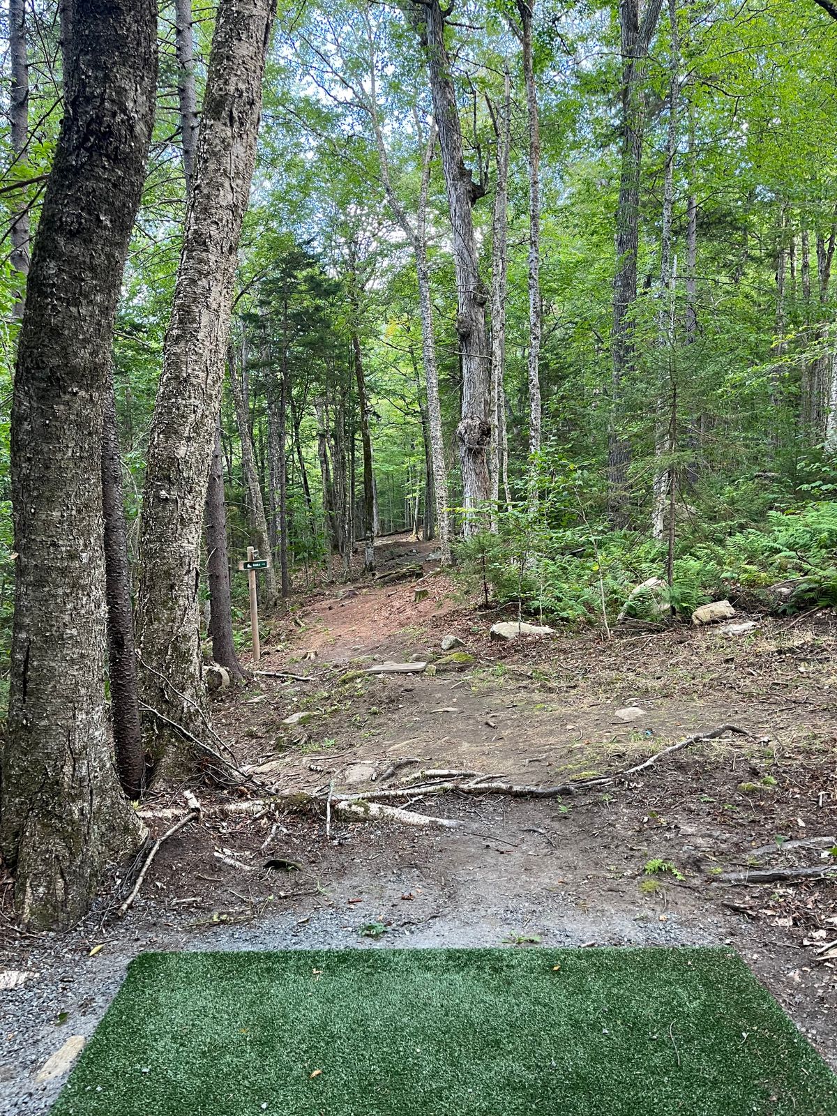 Hole 4 tee pad