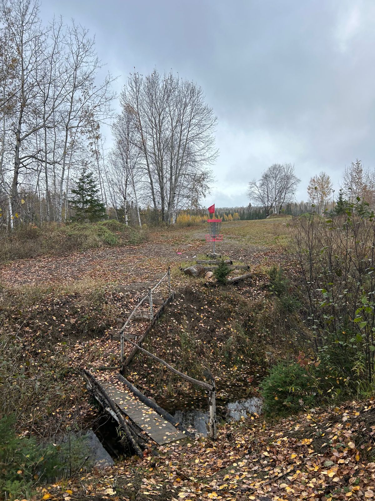 Cool bridge leading to a basket