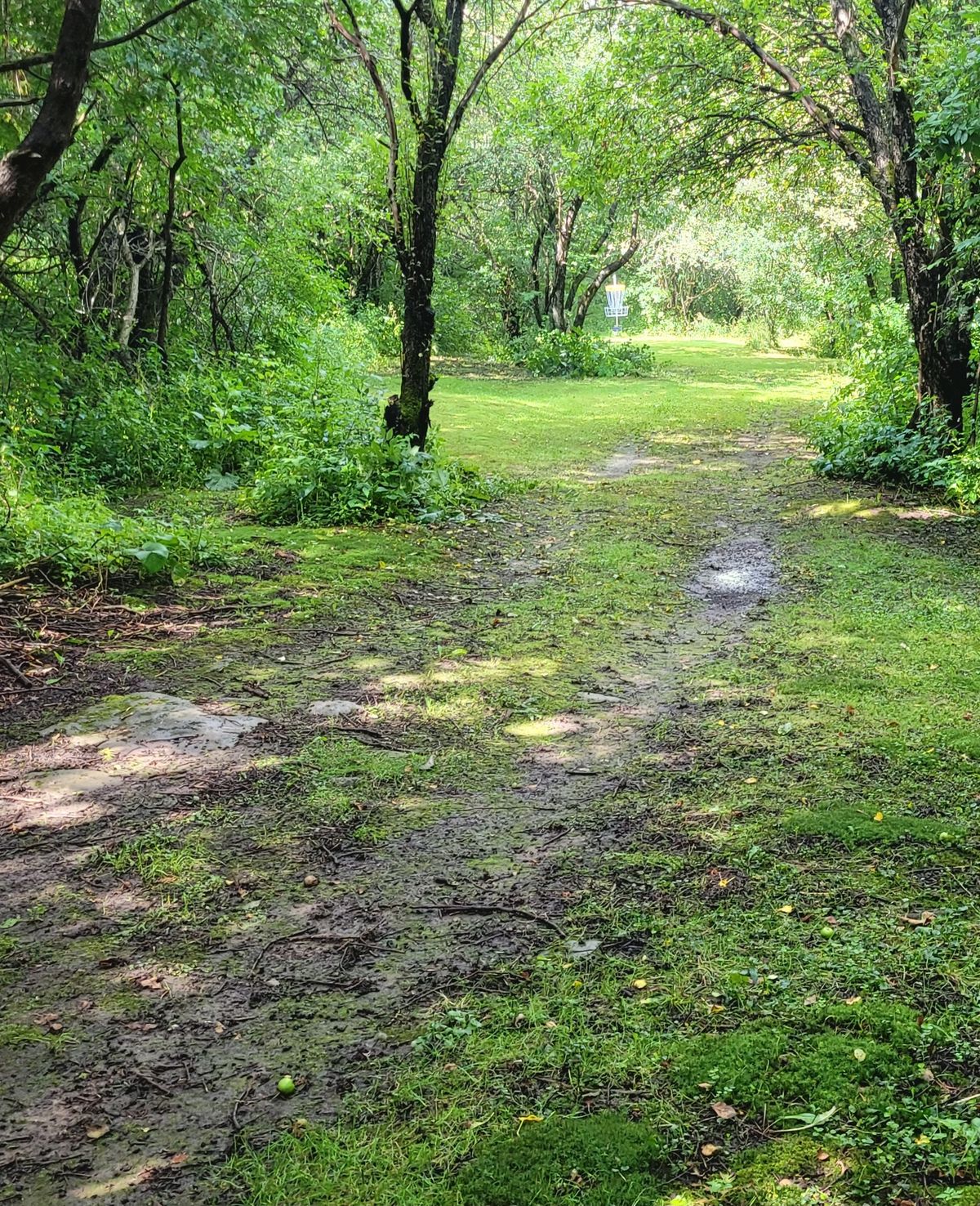 Hole 17, little dig leg left from the tee.