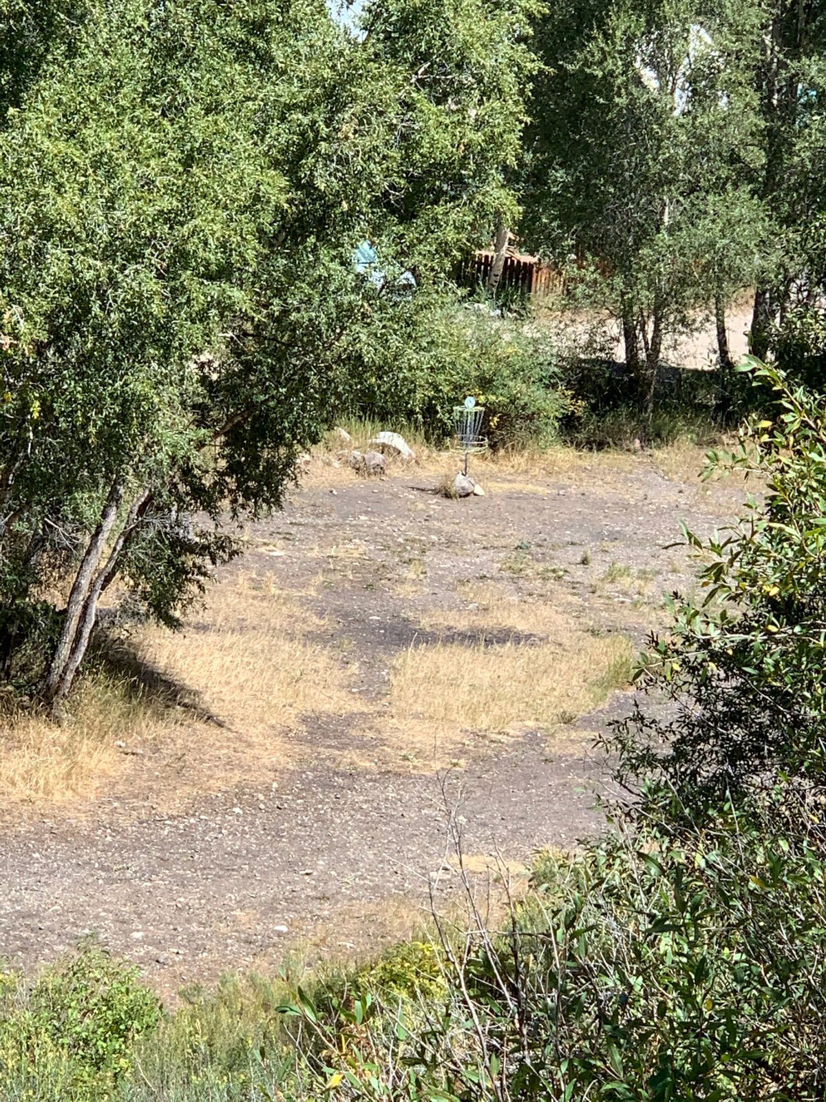 Hole 9