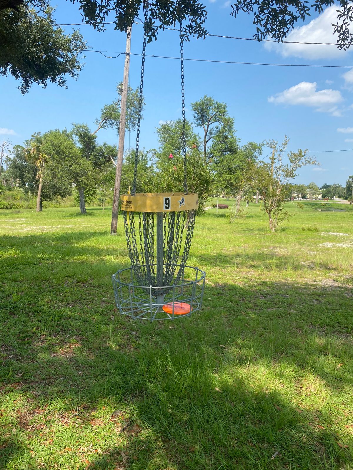 Panama City garden club #9