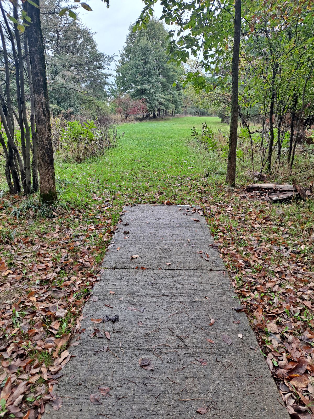 Hole 2 long