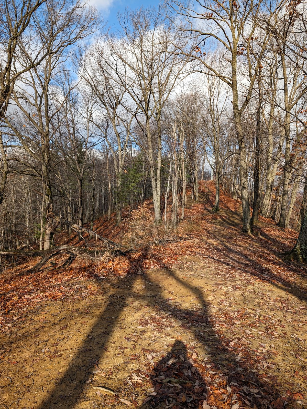 Hole 17 from the pad
