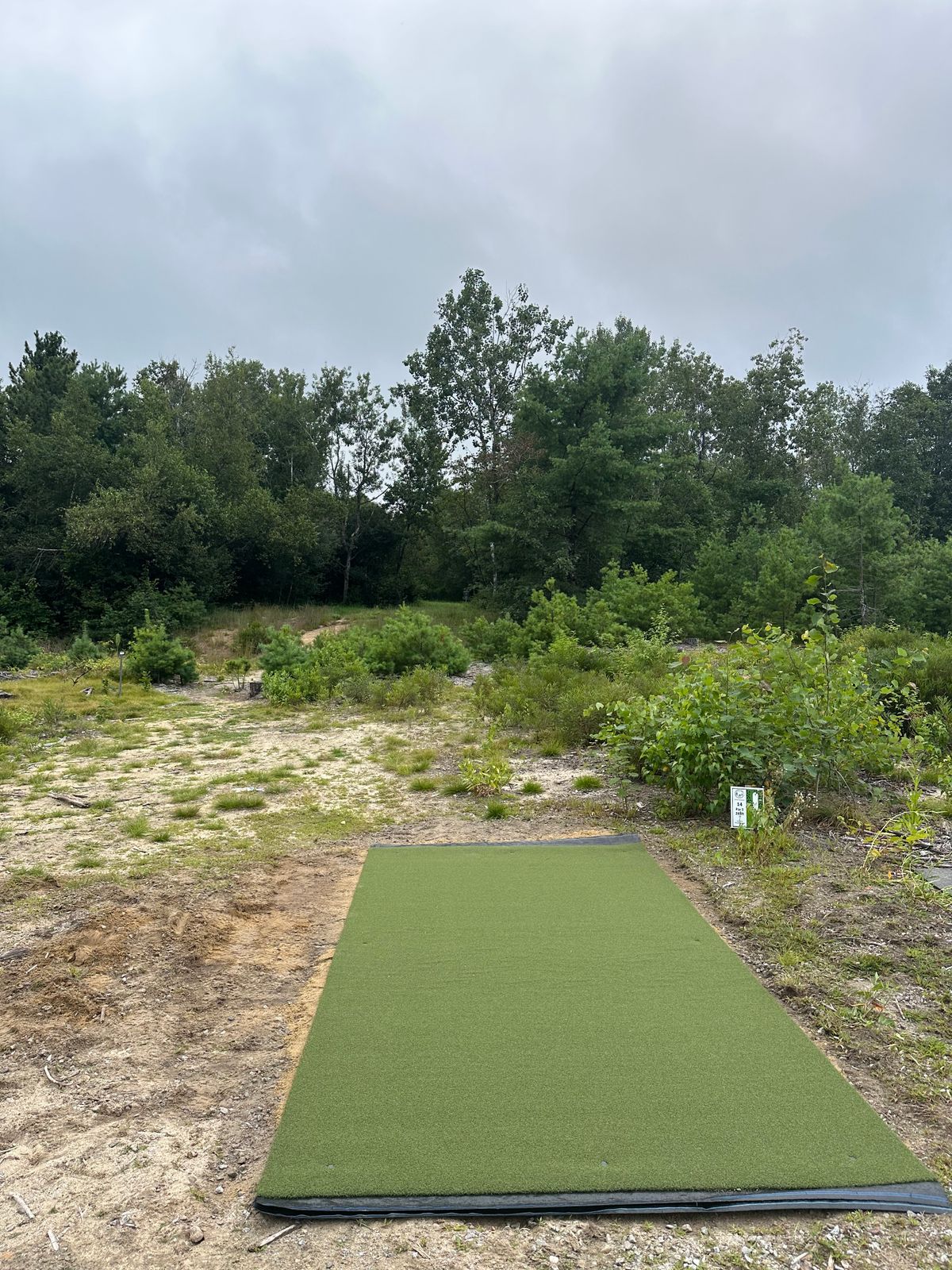 Hole 14 tee