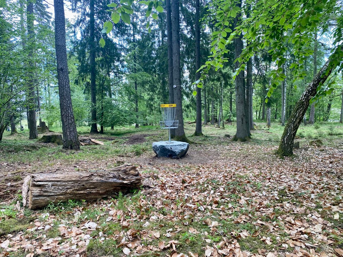 Gråstein 