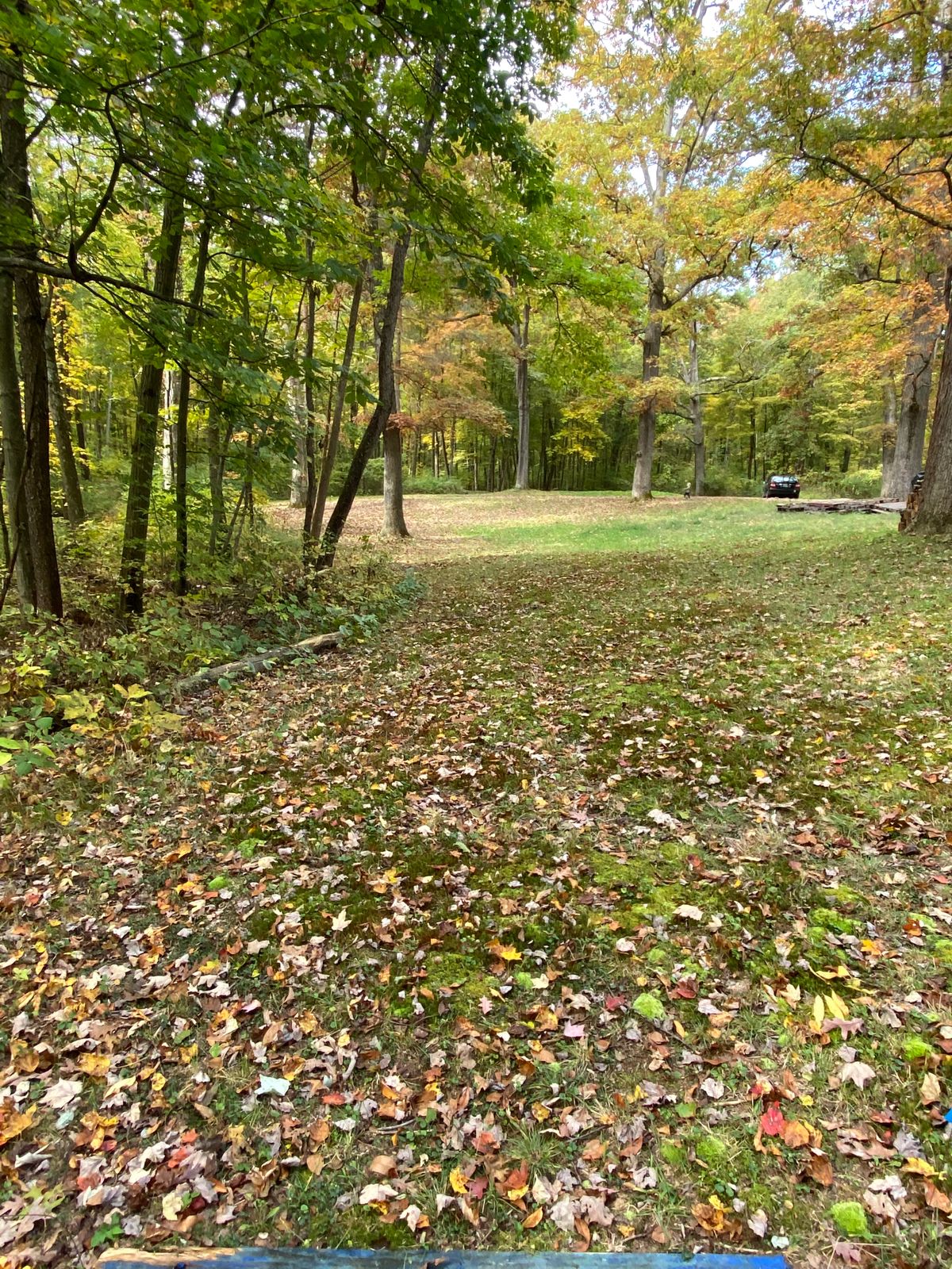 Hole 8 Blue tee