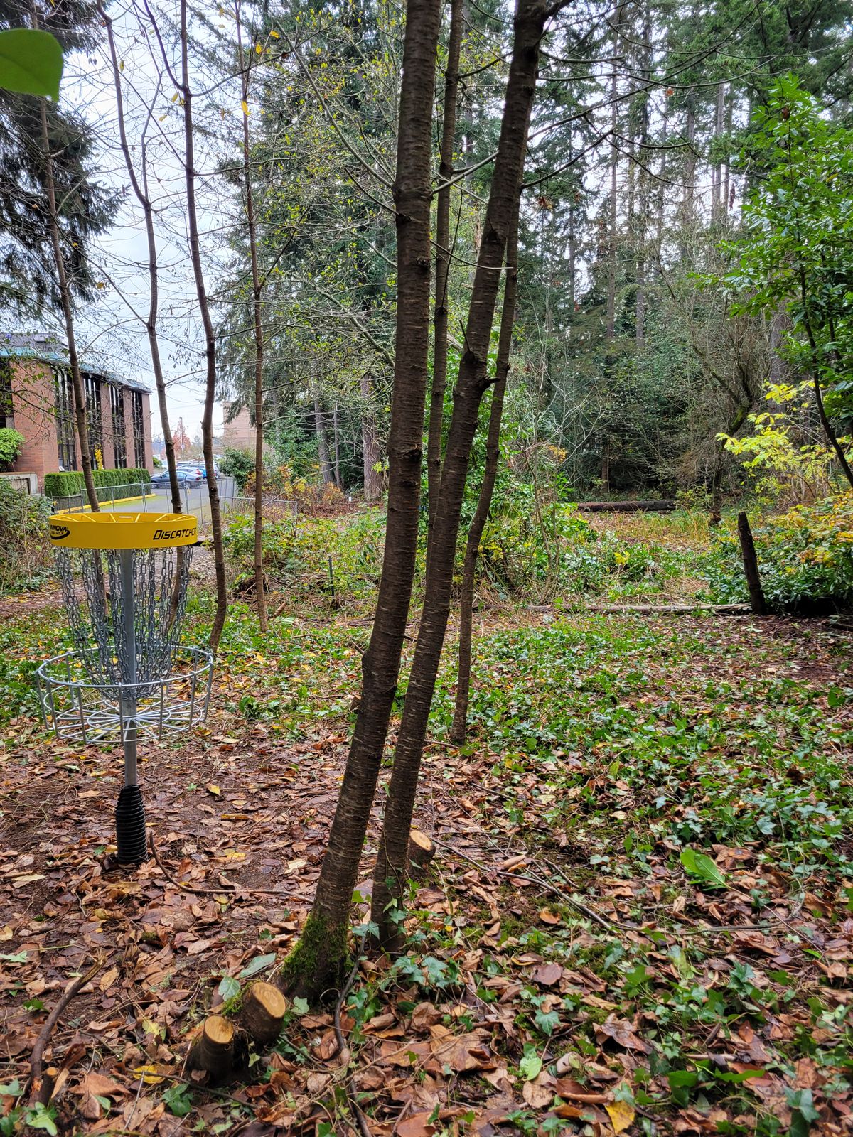 Bakset 5/14 looking back at tee's.  Right gap for 14. Left gap for 5