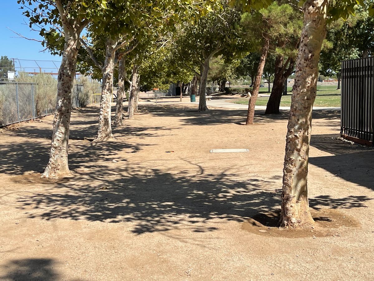 5th hole from tee