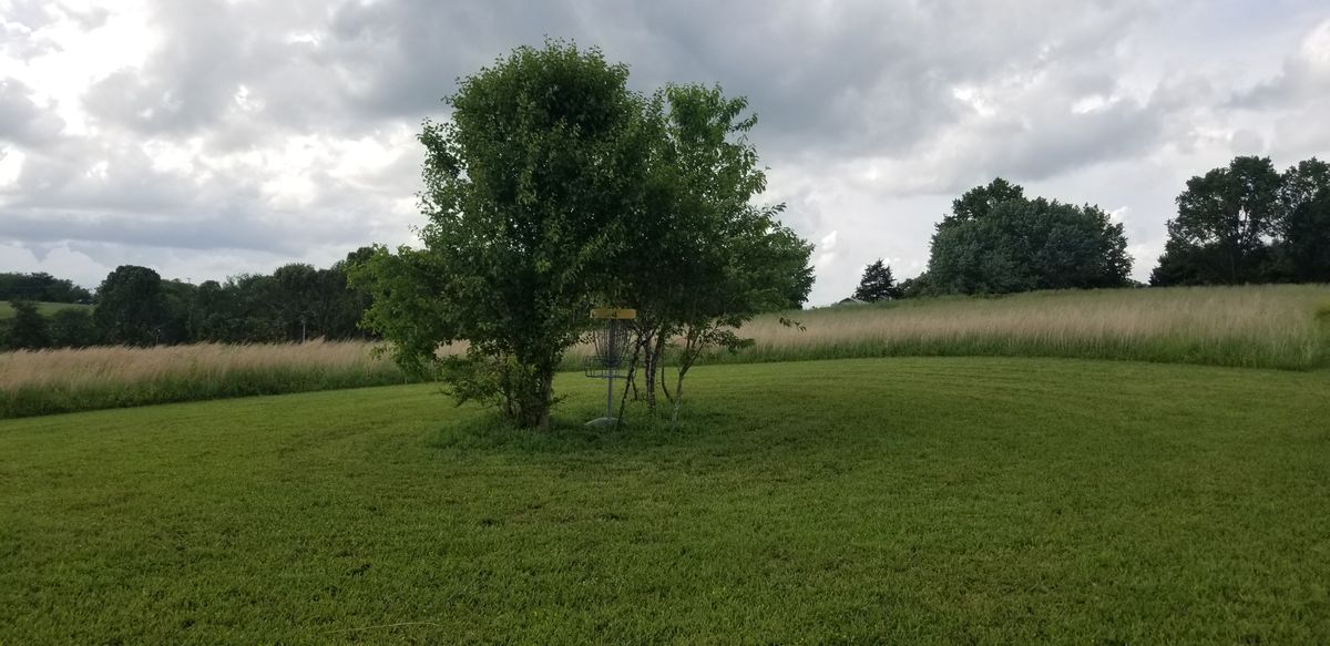 Very clever use of trees in open areas. Fairways perfectly maintained with fringe and ruff for added challenge.